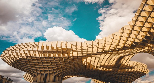 The governing bodies of limited liability companies, limited liability companies in Spain